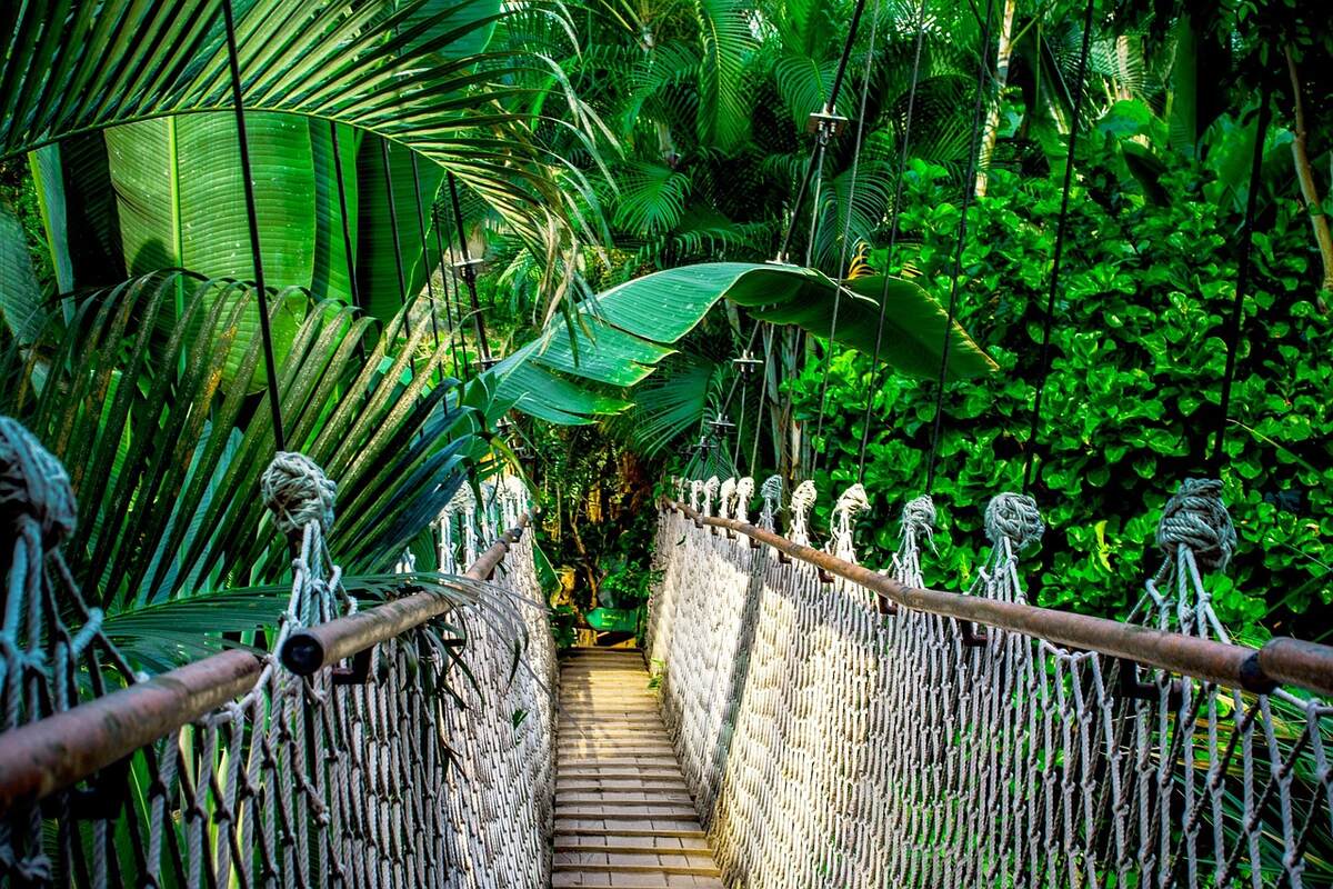 suspension-bridge-PIXABAY-959853_1280.jpg
