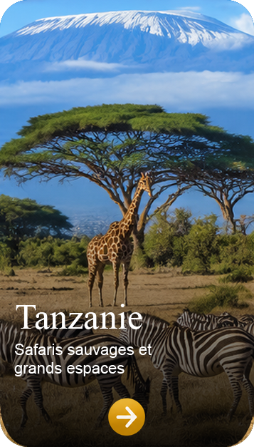 SunVoyages-Destination-Tanzanie.png